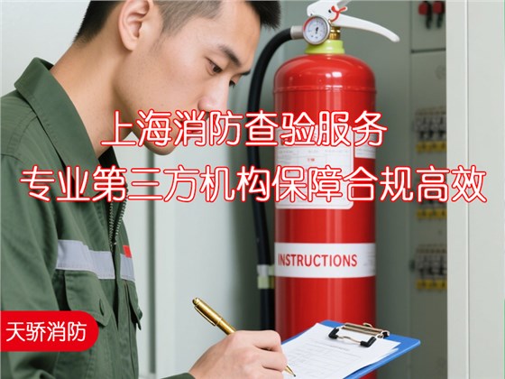 上海消防查驗(yàn)服務(wù)-專(zhuān)業(yè)第三方機(jī)構(gòu)保障合規(guī)高效